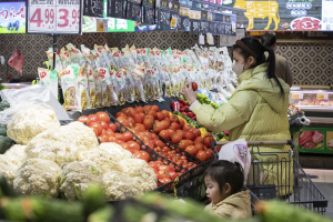 春节影响消退，3月CPI同比降幅收窄至0.1%-uusu优素-乐高,模型,3d打印,编程