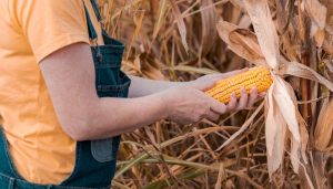 直通部委 | 多部门关爱帮扶农村留守妇女 全国家电以旧换新突破1亿台-uusu优素-乐高,模型,3d打印,编程