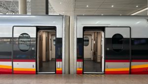 女子伸腿阻止高铁关门，因妨碍交通工具正常行驶被行拘-uusu优素-乐高,模型,3d打印,编程