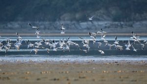 地方新闻精选 | 鄱阳湖水位止跌回涨突破9米 “网络水军”刷单2000万余条被抓-uusu优素-乐高,模型,3d打印,编程