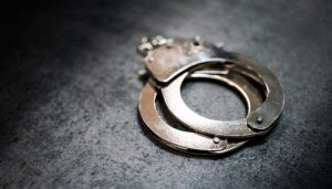 大搞家庭式腐败，甘肃原副省长赵金云涉嫌受贿罪被逮捕-uusu优素-乐高,模型,3d打印,编程