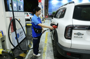 受国际油价下行影响，4月CPI同比下降0.1%-uusu优素-乐高,模型,3d打印,编程