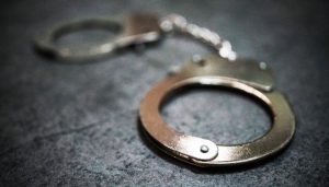 官迷心窍结交政治骗子,“老虎”张效廉被逮捕-uusu优素-乐高,模型,3d打印,编程