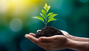 保护民企合法权益，民营经济促进法今起正式施行-uusu优素-乐高,模型,3d打印,编程