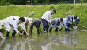 日本米价涨幅创1971年以来新高，日本游客专门赴韩运米-uusu优素-乐高,模型,3d打印,编程