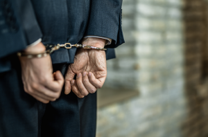 云南省原副省长李石松被提起公诉，曾被通报对统计造假失察-uusu优素-乐高,模型,3d打印,编程