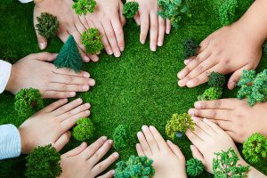 盘前机会前瞻|两办重磅发文！环保行业迎政策利好，这几家公司在污水处理和智慧水利领域具有先发优势（附概念股）-uusu优素-乐高,模型,3d打印,编程