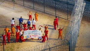 美最高法允许政府撤销超50万移民临时合法身份，为驱逐近100万移民扫清道路-uusu优素-乐高,模型,3d打印,编程