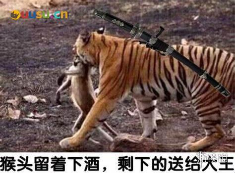 游侠网6