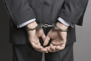 受贿数额特别巨大，副部级“老虎”杨发森被提起公诉-uusu优素-乐高,模型,3d打印,编程