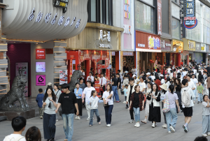 世界银行：消费是中国经济增长的关键，应加大对居民部门的支持-uusu优素-乐高,模型,3d打印,编程