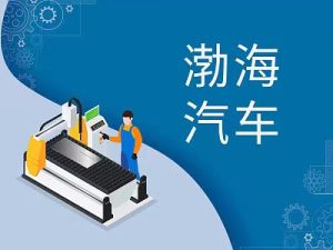 拟购北汽模塑等四家公司股权并募配资金，渤海汽车复牌涨停-uusu优素-乐高,模型,3d打印,编程