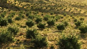 直通部委｜我国十余年完成沙化土地治理3.65亿亩 中方正组织撤离在伊以的中国公民-uusu优素-乐高,模型,3d打印,编程