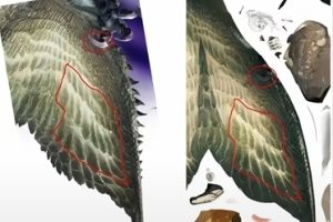 从“怪猎贴图”到画师离职 二游侵权事件为何屡见不鲜-uusu优素-乐高,模型,3d打印,编程