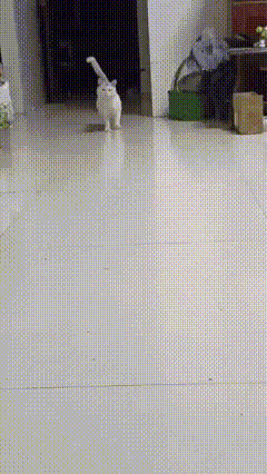 游侠网14