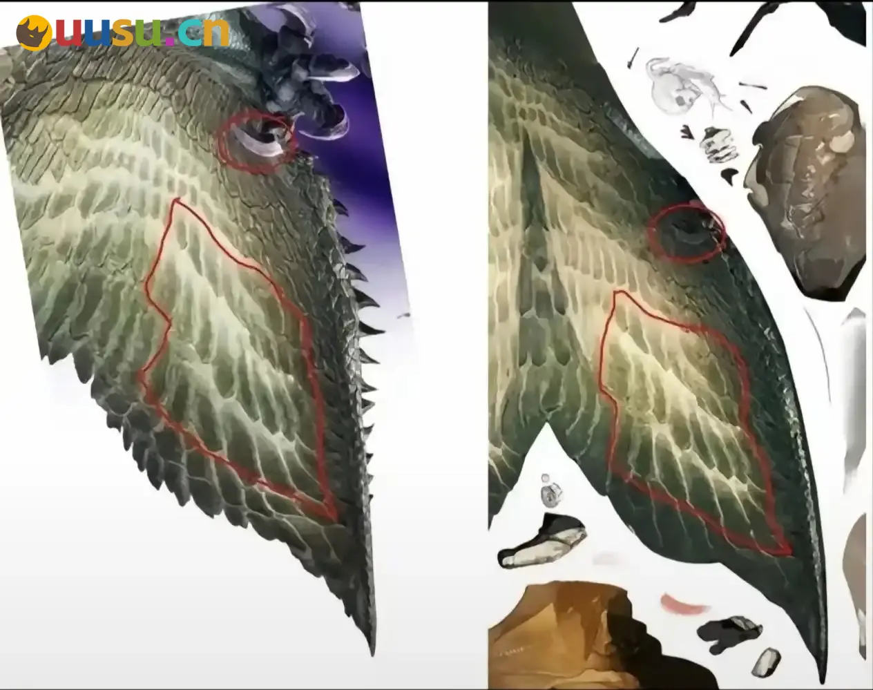 游侠网5