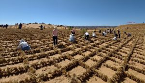 地方新闻精选 | 宁夏境内腾格里沙漠锁边全面完成 鄱阳湖通江水体面积超3000平方公里-uusu优素-乐高,模型,3d打印,编程