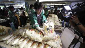 日本关键选举前，大米成与美国贸易谈判“死结”-uusu优素-乐高,模型,3d打印,编程