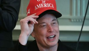 马斯克透露“建党构想”：争取少数国会议席，影响立法投票-uusu优素-乐高,模型,3d打印,编程