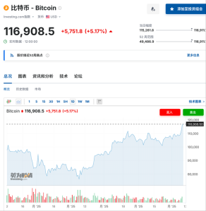 比特币冲破117000美元续创历史新高！机构预测下半年还会涨-uusu优素-乐高,模型,3d打印,编程