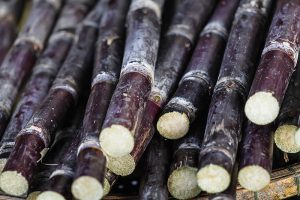 可口可乐要换掉玉米糖浆配方？佛罗里达“甘蔗大王”或成受益者-uusu优素-乐高,模型,3d打印,编程