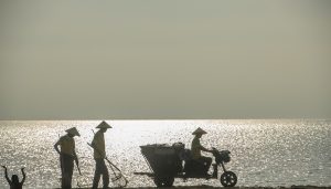 台风“韦帕”逼近华南沿海，广东海南严阵以待-uusu优素-乐高,模型,3d打印,编程