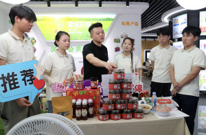 扩消费政策在电商领域落地见效，上半年全国网上零售额增长8.5%-uusu优素-乐高,模型,3d打印,编程