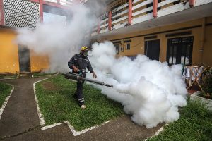已在119个国家和地区传播，世卫提醒防范基孔肯雅热暴发-uusu优素-乐高,模型,3d打印,编程
