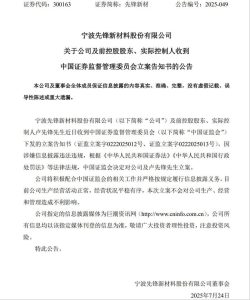 刚“摘帽”不到两月，先锋新材前实控人卢先锋遭证监会立案-uusu优素-乐高,模型,3d打印,编程