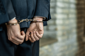 敛财8191万余元，副部级“老虎”杜梓一审获刑15年-uusu优素-乐高,模型,3d打印,编程