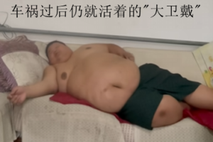 吃播狠人良子大胃袋，车祸过后仍活着的传奇“大卫戴”-uusu优素-乐高,模型,3d打印,编程