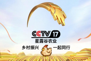 农村政务系统爆改现实《开放世界·星露谷》，全员玩家上大分，建设星级村庄！-uusu优素-乐高,模型,3d打印,编程