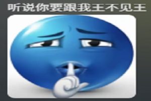秦王嬴政比我早生千年，是惧我三分？还是王不见王！-uusu优素-乐高,模型,3d打印,编程