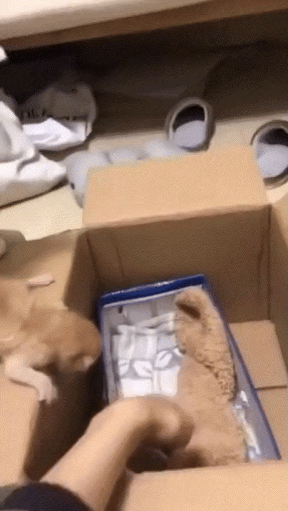 游侠网19
