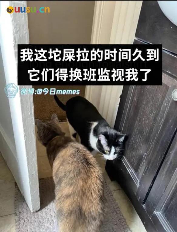 游侠网12