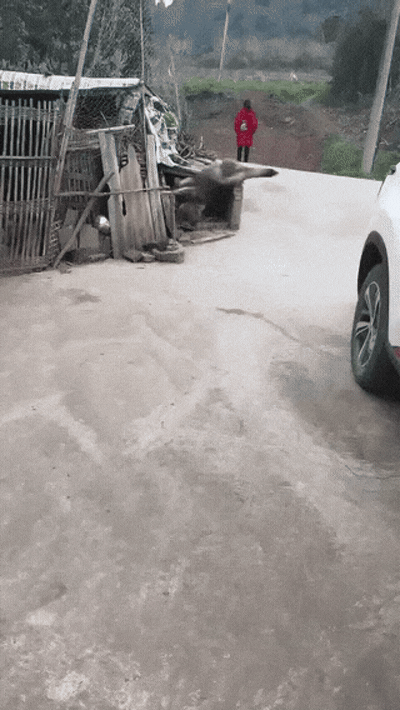 游侠网12