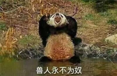 游侠网5