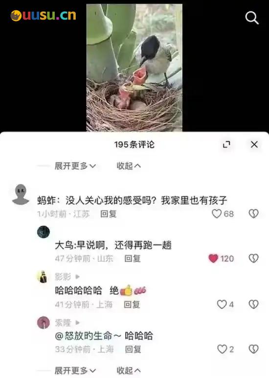 游侠网24