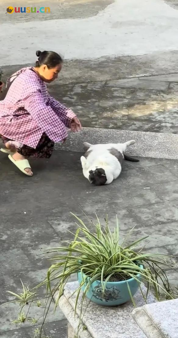游侠网8