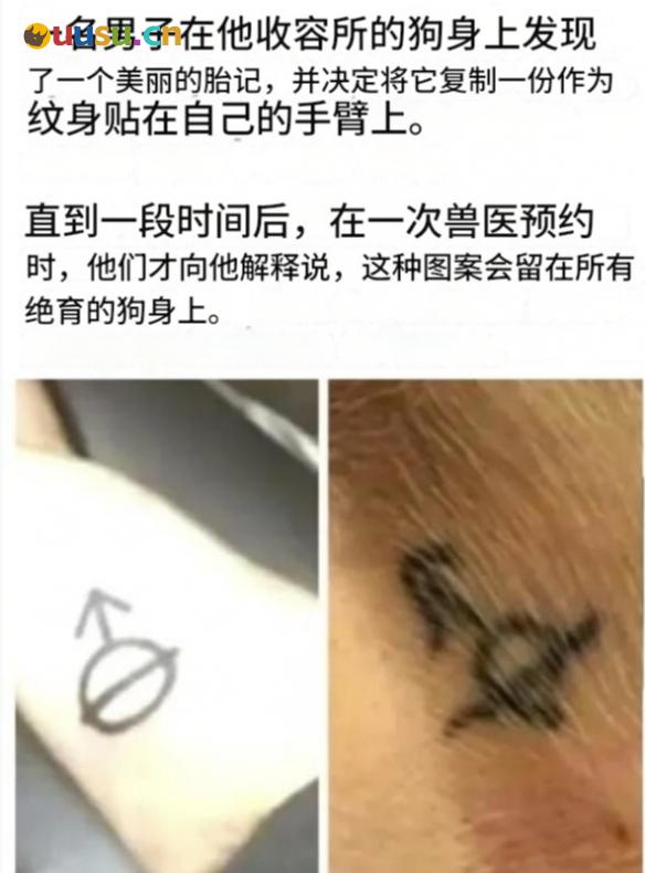 游侠网29