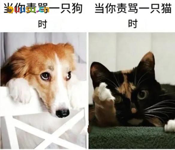 游侠网27