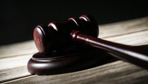 地方新闻精选 | 大连涉107亿元非法集资案宣判 中华白海豚误入珠江内河被救助-uusu优素-乐高,模型,3d打印,编程