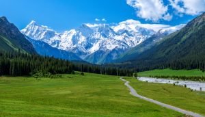 新疆夏塔景区桥索断裂致5死24伤：去年也发生类似事故，6月曾进行封闭作业-uusu优素-乐高,模型,3d打印,编程