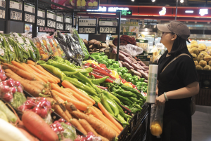 受食品价格较低影响，7月CPI同比持平-uusu优素-乐高,模型,3d打印,编程