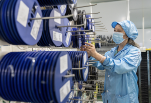 上半年全国新设经营主体超1300万户，民企、外企增长趋势延续-uusu优素-乐高,模型,3d打印,编程