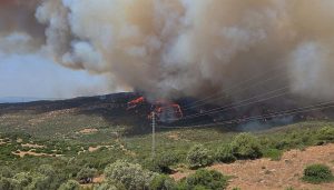 最高气温超过44℃、核电减产，欧洲多国再遭热浪袭击-uusu优素-乐高,模型,3d打印,编程