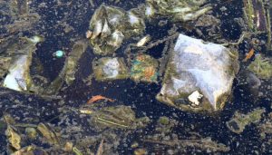 黑臭水体流入农灌区致农民无法灌溉？安徽濉溪县通报：相关负责人被停职-uusu优素-乐高,模型,3d打印,编程