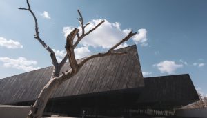 地方新闻精选 | 侵华日军第731部队细菌战新罪证史料公布 香格里拉首次拍到金钱豹影像-uusu优素-乐高,模型,3d打印,编程