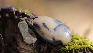 央视曝光和田玉骗局，河南镇平县：4名主播和制假人员被控制-uusu优素-乐高,模型,3d打印,编程