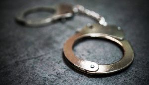 向800余人非法吸收3亿余元，经济犯罪嫌疑人李某被从泰国引渡回国-uusu优素-乐高,模型,3d打印,编程